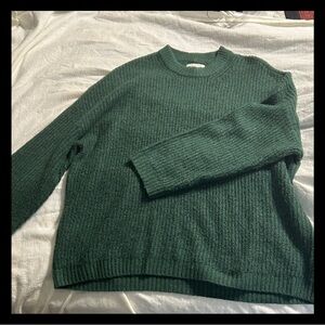 American Eagle Outfitters Green Crew Neck Sweater